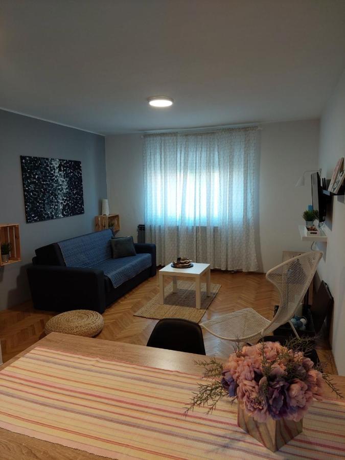 شقة Apartman Hana Drežnik Grad المظهر الخارجي الصورة