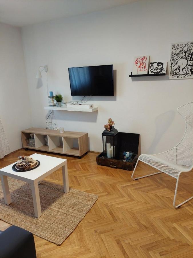 شقة Apartman Hana Drežnik Grad المظهر الخارجي الصورة