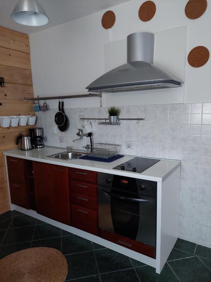 شقة Apartman Hana Drežnik Grad المظهر الخارجي الصورة