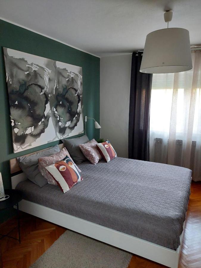 شقة Apartman Hana Drežnik Grad المظهر الخارجي الصورة